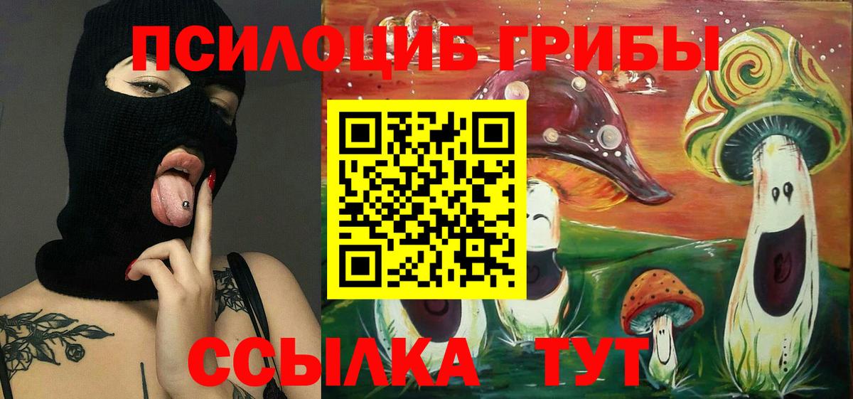 Псилоцибиновые грибы мухоморы  Вход с VPN  цена   Знаменск  Галлюциногенные грибы мухоморы 