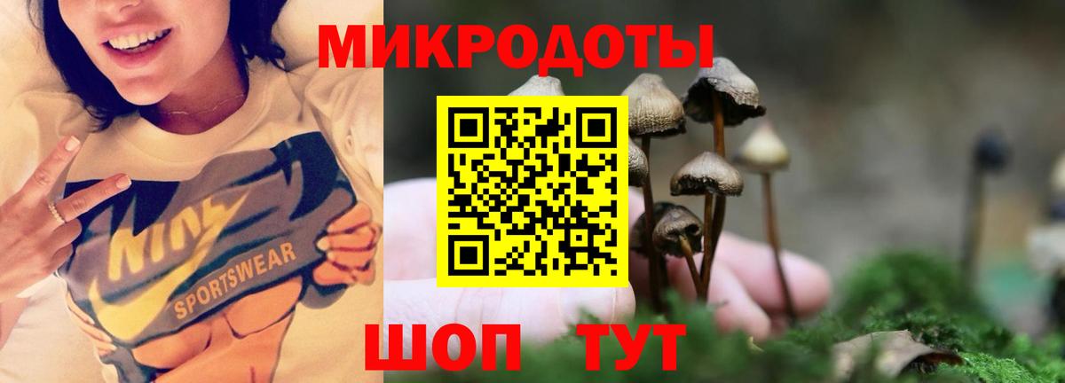 Псилоцибиновые грибы MAGIC MUSHROOMS Знаменск